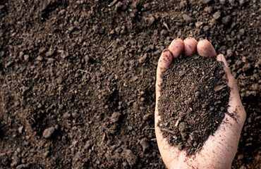 Universal India Exports