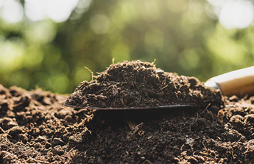 Universal India Exports