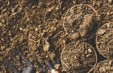 Universal India Exports