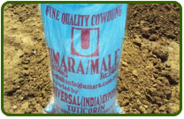 Universal India Exports