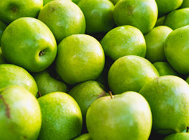 Universal India Exports