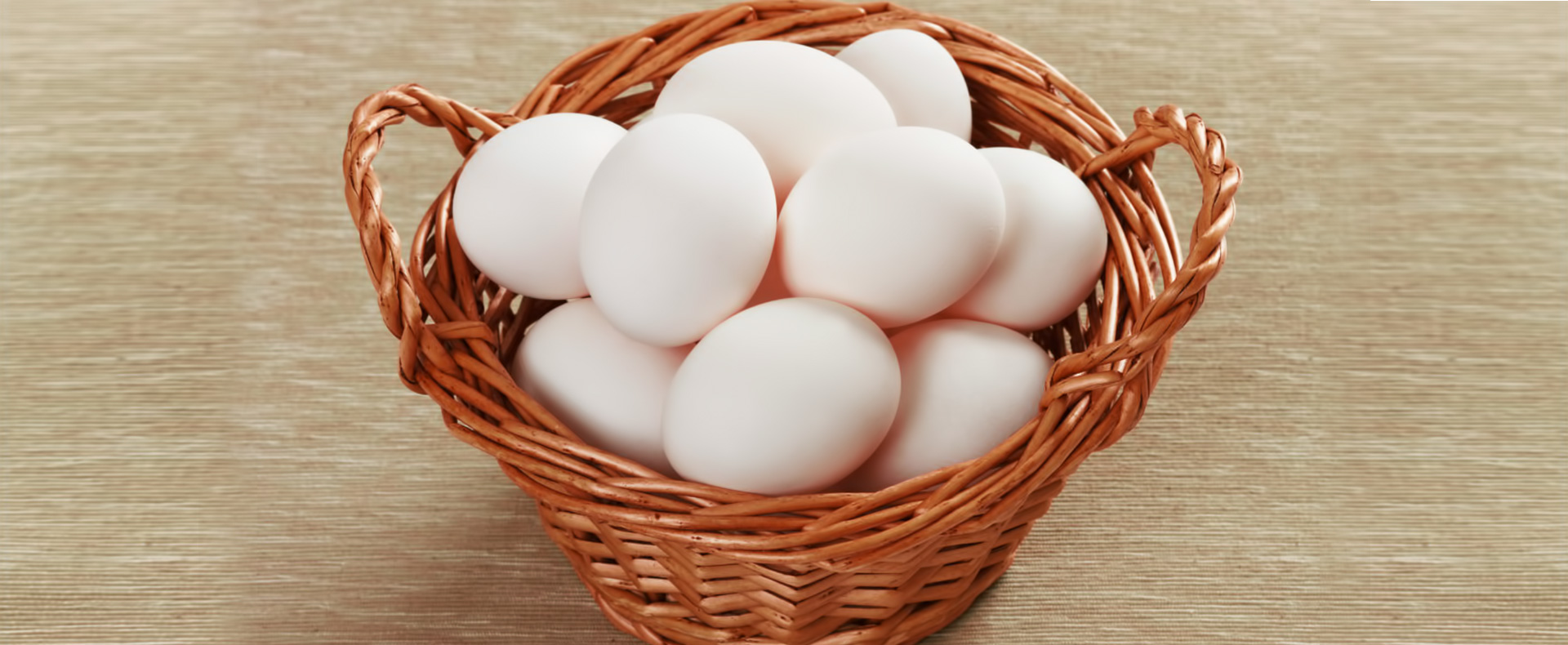 Universal India Exports