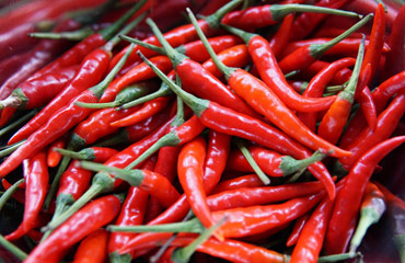 Universal India Exports