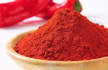 Universal India Exports