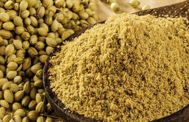 Universal India Exports