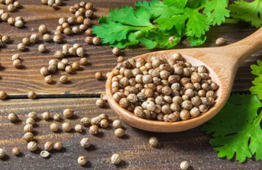 Universal India Exports