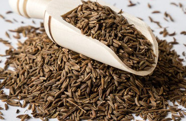 Universal India Exports