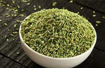 Universal India Exports