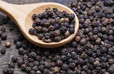 Universal India Exports