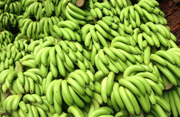 Universal India Exports