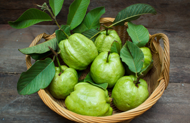 Universal India Exports