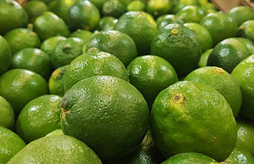 Universal India Exports