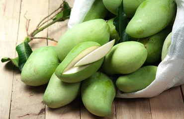 Universal India Exports