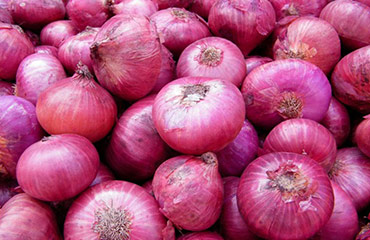 Universal India Exports