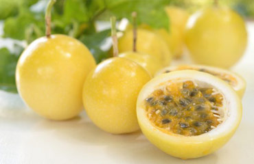 Universal India Exports