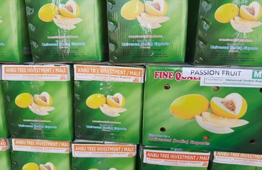 Universal India Exports