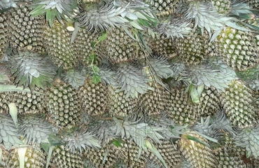 Universal India Exports