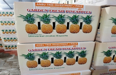 Universal India Exports