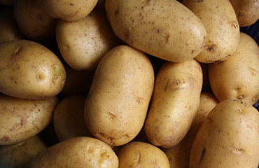 Universal India Exports