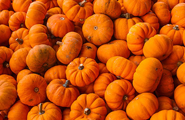 Universal India Exports